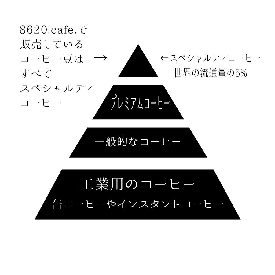 【400g】１２ペルーG1 コーヒー 豆 『サンチュアリオ』ウォッシュド 有機JAS認証生豆使用｜8620-cafe｜06