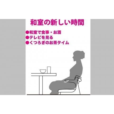 キャスパーチェア2 高齢者椅子 座椅子 椅子 いす おすすめ キャスパーチェア 座面の高さ43cm 起立木工 チェア 400B-BK |  | 02