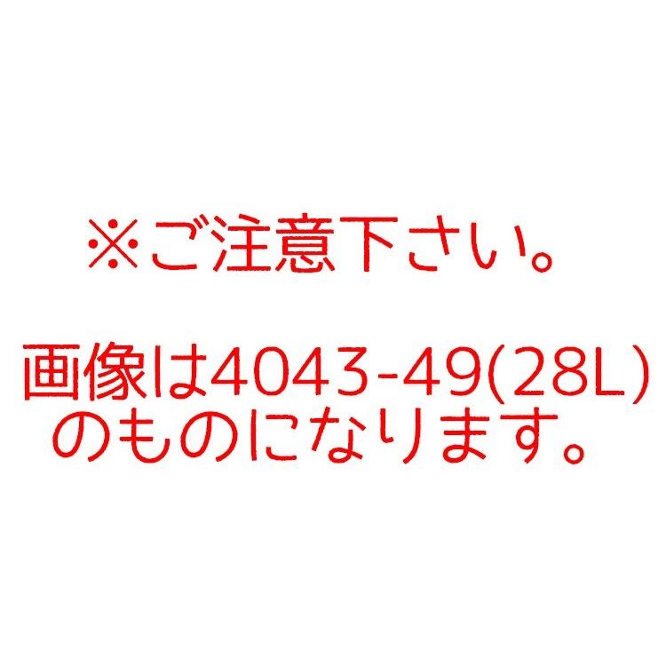 ついに再販開始 レジェンドウォーカー スーツケース ソフトキャリーバッグ 4043 39 機内持ち込み 22l Whitesforracialequity Org