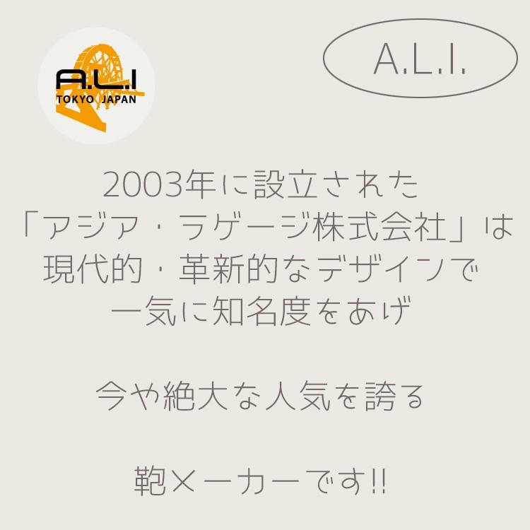 A.L.I アジアラゲージ スーツケース デカかる Edge 拡張 でかかる デカかるスーツケース アジア・ラゲージ ALIスーツケース ALI ALI-090-22W 54Lの画像