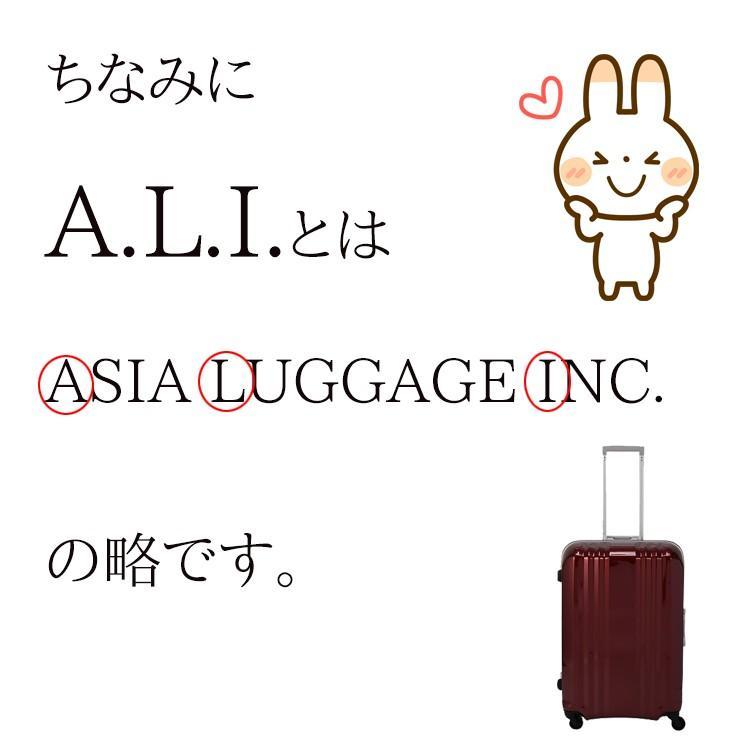 トリップレイヤー ソフトスーツケース ソフトキャリーケース  A.L.I アジアラゲージ スーツケース キャリーバッグ キャリーケース ALP-7110-22 53Lの画像