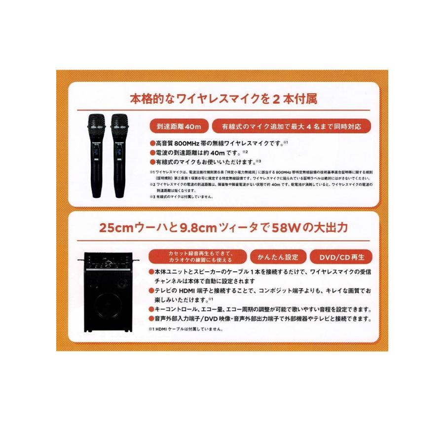 カラオケセット 家庭用 カラオケ機器 機器 ANABAS DVDカラオケ