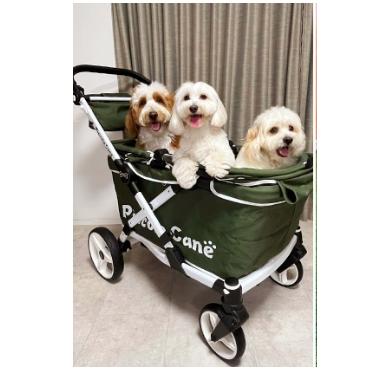 クレアツー 大型犬用 大型犬 ピッコロカーネ CREA 2 クレア ピッコロ