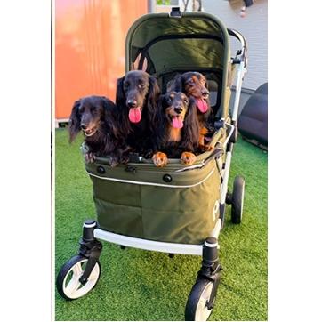 ペットカート オリーブグリーン　大型犬　多頭 クレアツー 大型犬用 大型犬 ピッコロカーネ CREA 2 クレア ピッコロ