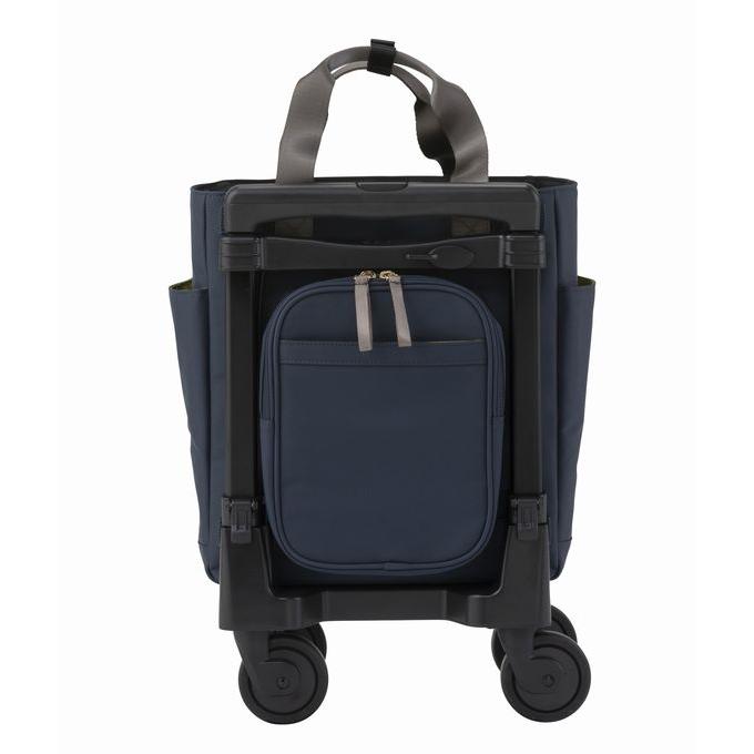 SWANY（スワニー） キャリーバッグ ショッピング カート ブリル