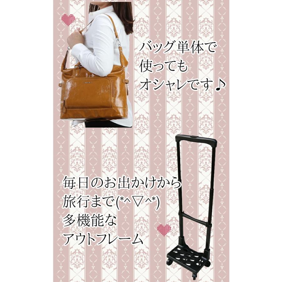 SWANY（スワニー） キャリーバッグ ショッピング カート シテーロ