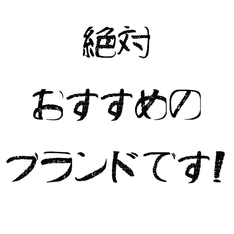 大容量 マックストップ  A.L.I アジアラゲージ スーツケース キャリーバッグ キャリーケース MAXSTOP-24 70L ストッパー付き | アジア・ラゲージ | 14