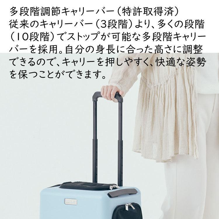 PETiCO ペチコ ハードペットキャリー 3001 ペット用キャリー PETiCO ペチコ ハードペットキャリー 3001 ペット用キャリー