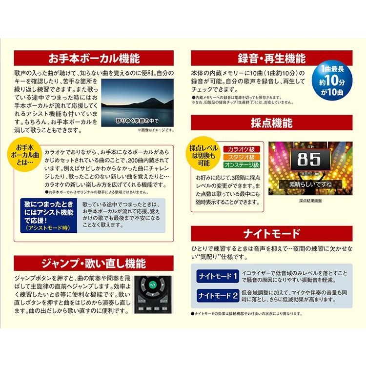 カラオケセット 家庭用 900曲 カラオケ機器 カラオケ カラオケマイク