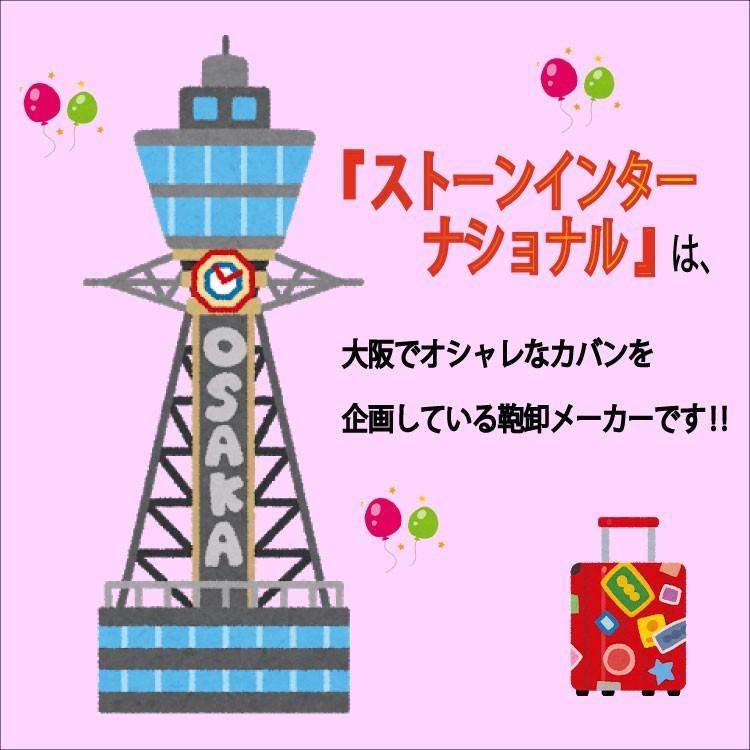 シーンプラスライト SiiiN＋Light スーツケース 機内持ち込み キャリーバッグ キャリーケース ストーンインターナショナル S19-A-303 32L |  | 02