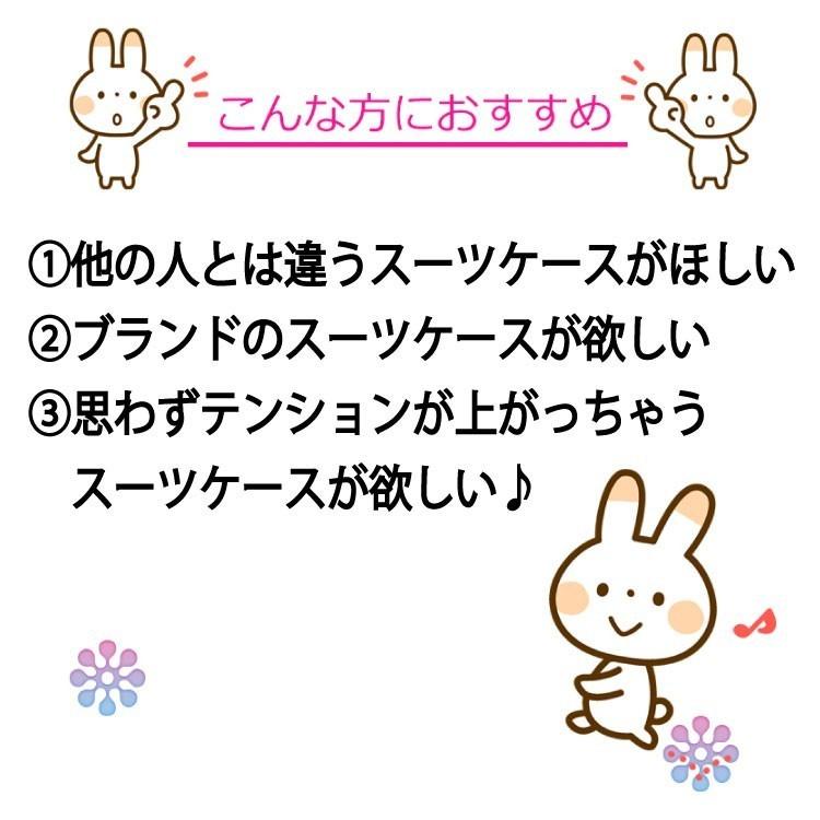 シーンプラスライト SiiiN＋Light スーツケース 機内持ち込み キャリーバッグ キャリーケース ストーンインターナショナル S19-A-303 32L |  | 03