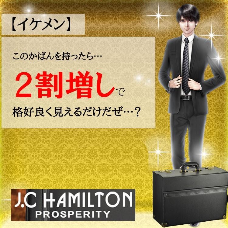 マチ幅 20cm パイロットケース フライトケース アタッシュケース