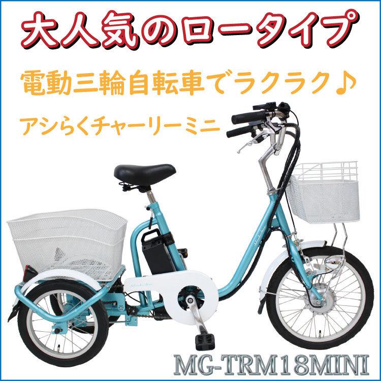 絶壁 がっかりした 破裂 三輪 自転車 ランド ウォーカー 受け入れ 海上 原告
