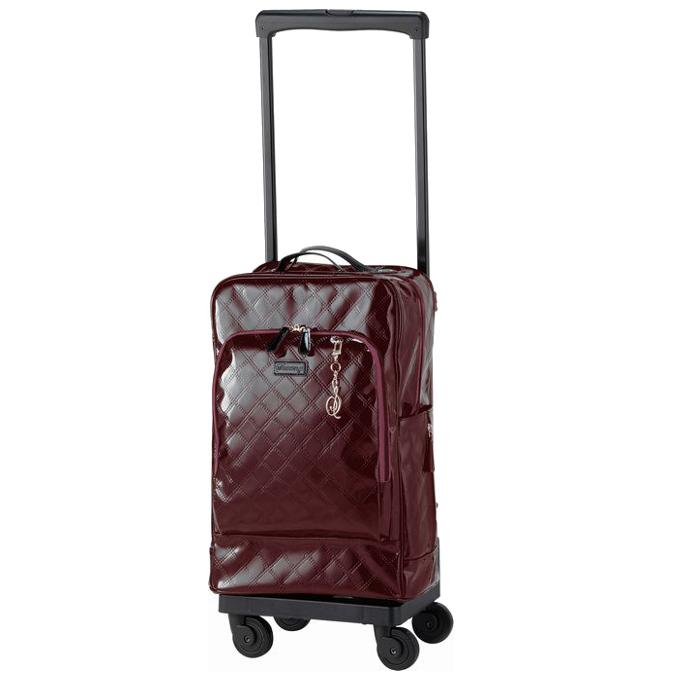 SALE／97%OFF】レインカバーセット スワニー キャリーバッグ ご カート