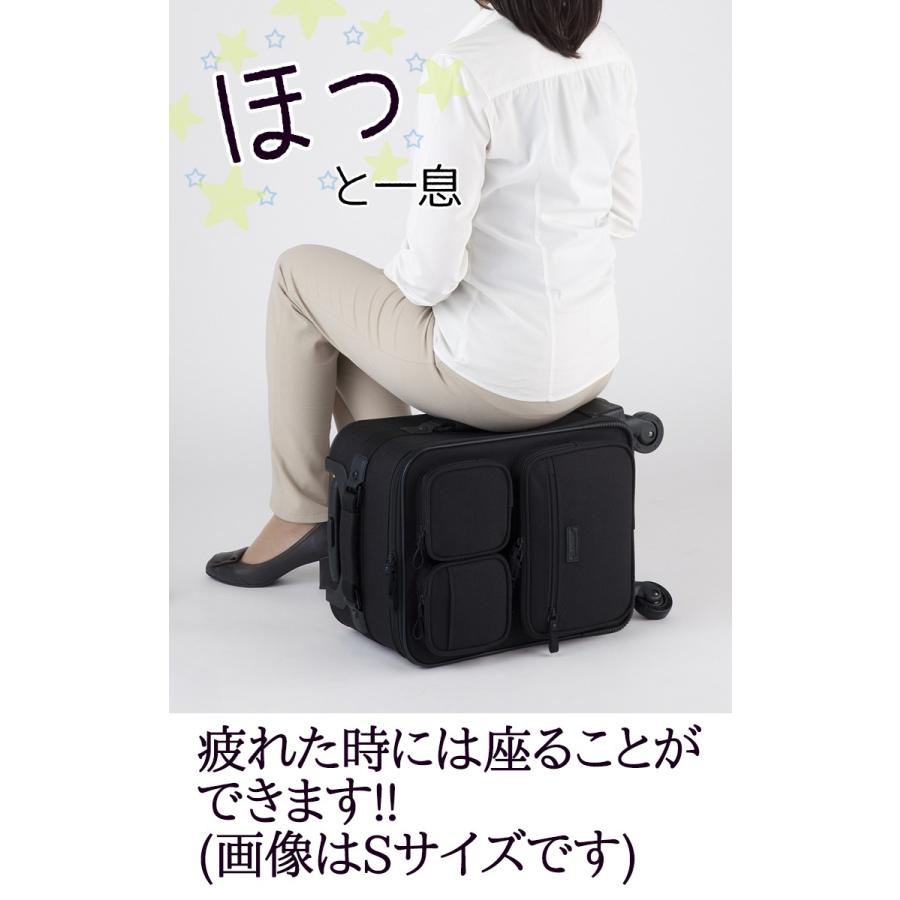 スワニー キャリーバッグ ポケットバッグ ウォーキング おすすめ バッグ キャリー SWANY T-415 44L XL カート の ポケットバッグ5 ウォーキング おすすめ バッグ SWANY