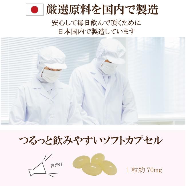 プラセンタ ダブル配合 サプリ 日本製 馬 豚 国産 30粒 1か月