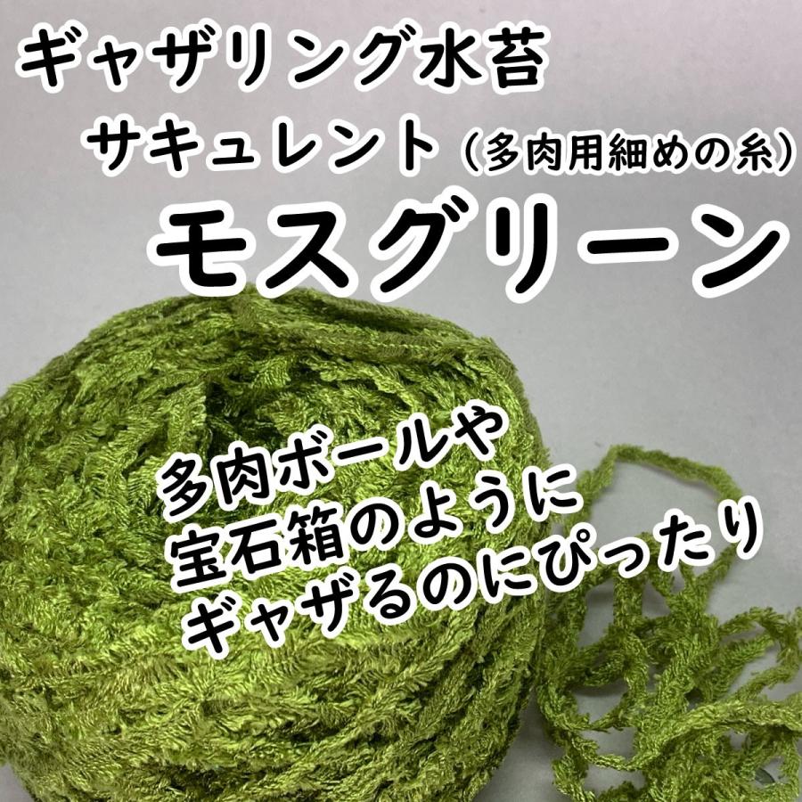 ギャザリング水苔サキュレント多肉植物のプランツギャザリング必需品 宝石箱のように細か