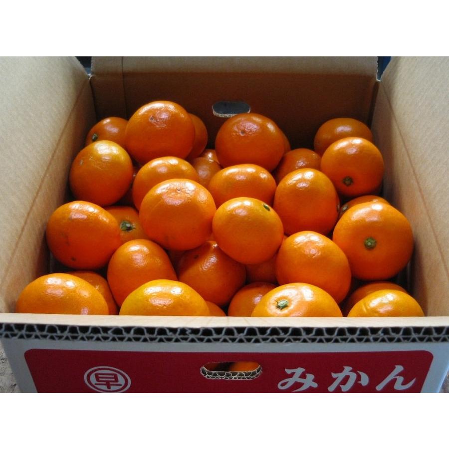 お歳暮　ご贈答に最適　おひさまおれんじ７kg　S~2Lミックス　当園オリジナル | 