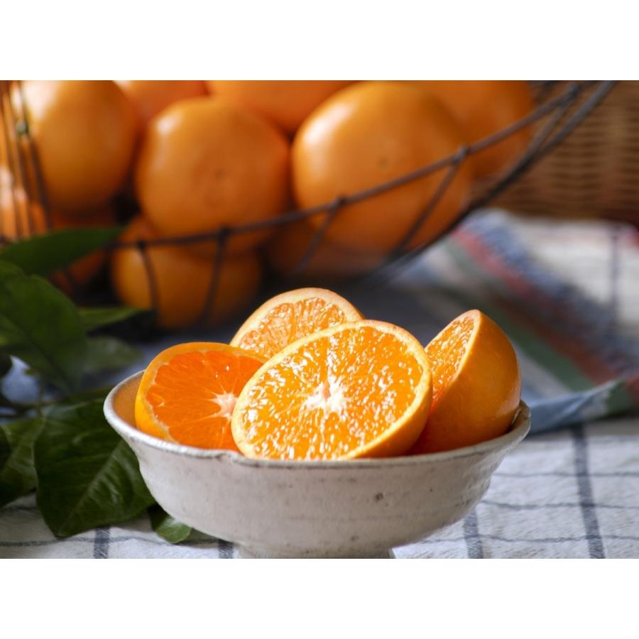 お歳暮　ご贈答に最適　おひさまおれんじ７kg　S~2Lミックス　当園オリジナル |  | 01