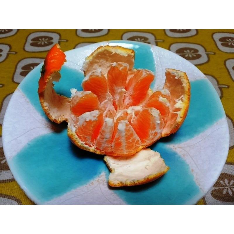 クレメンティン５kg　２S〜Mミックス |  | 02