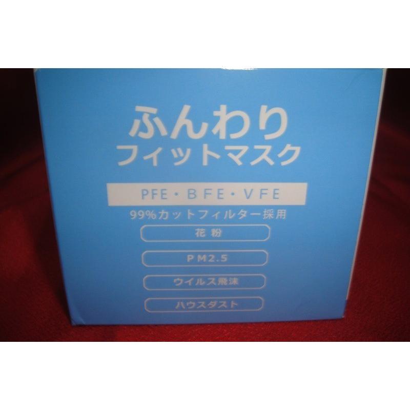 C1□中国定#193サ020421-30(53)/マスク高品質高価 不織布ふんわり