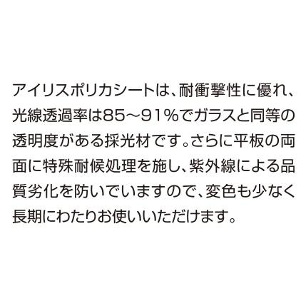 5mm厚 1000X2000 【高級】 クリア　2枚セット 離島北海道沖縄を除く送料無料サイズエリアにより運送会社止