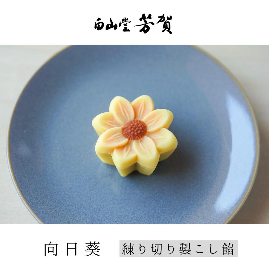 ひまわり　専用新品36個入りカラフル菓子セット賞味期限2027年３月 ひまわり 専用新品36個入りカラフル菓子セット賞味期限2027年3月 7月5