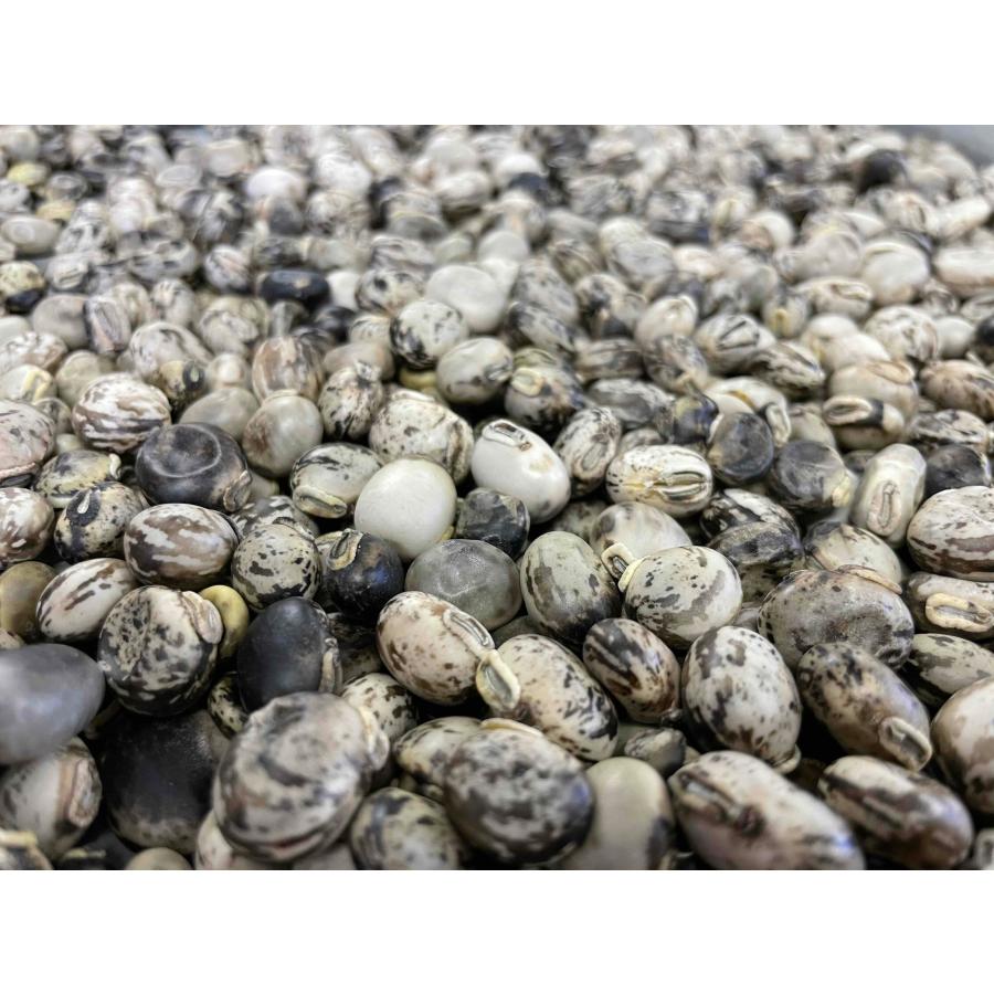 　自然栽培　ムクナ豆　200g | 
