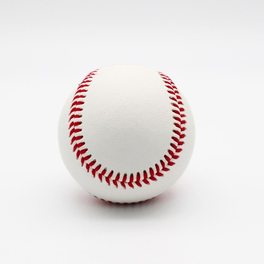 硬式練習球】ナイガイ 硬式野球ボール 練習球 10ダース(120球) 天然