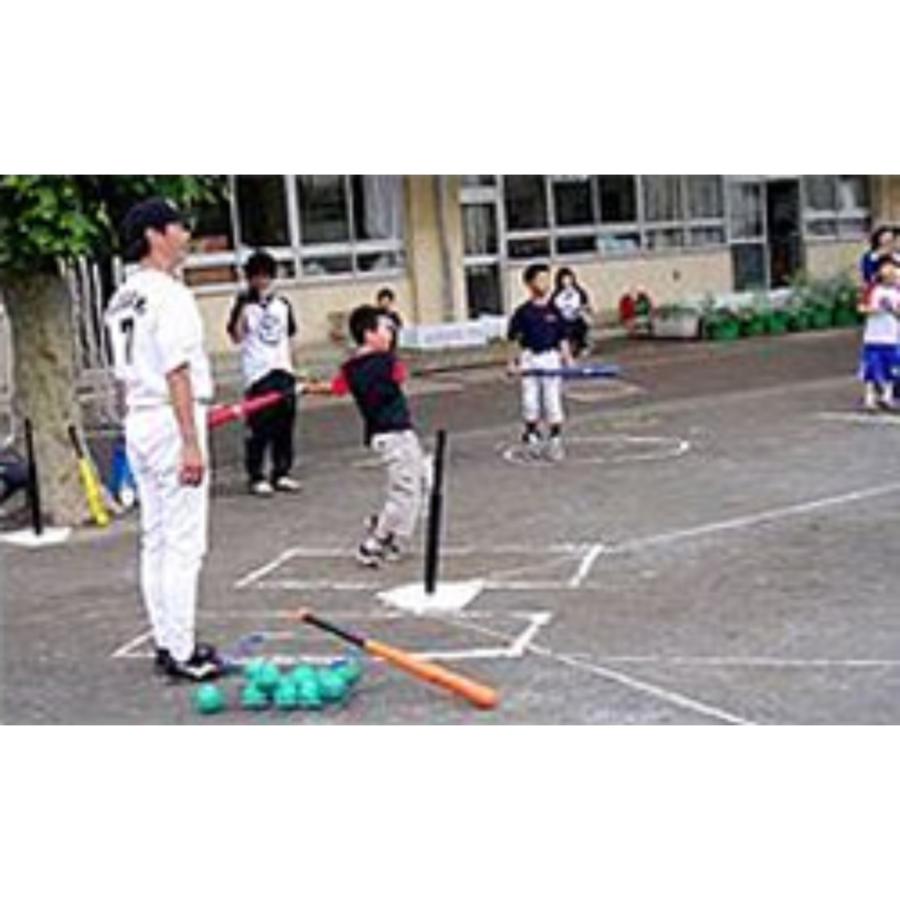 ナイガイ TEE BALL (ティーボール) バット 27インチ レッド ラッピング