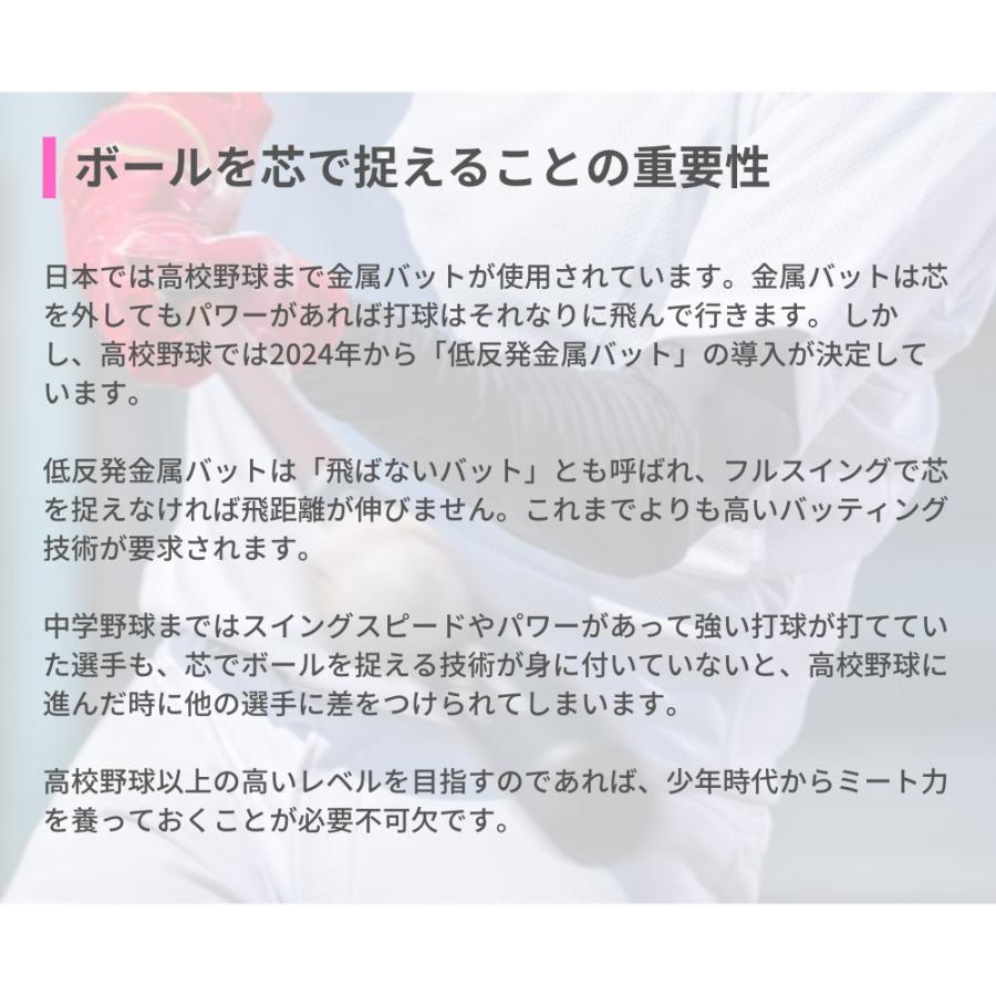 JB リストターンバット 86cm/950g 硬式軟式兼用 合竹 レッド×ブラック