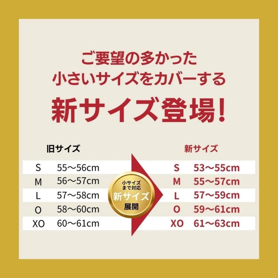 在庫限り】【2023年モデル】ミズノ 硬式用 つば付きキャッチャー