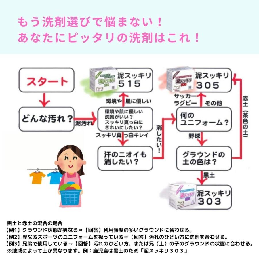 泥スッキリ  303  3個 ユニフォームの泥汚れ】泥汚れ専用洗剤「泥スッキリ303」洗剤 泥