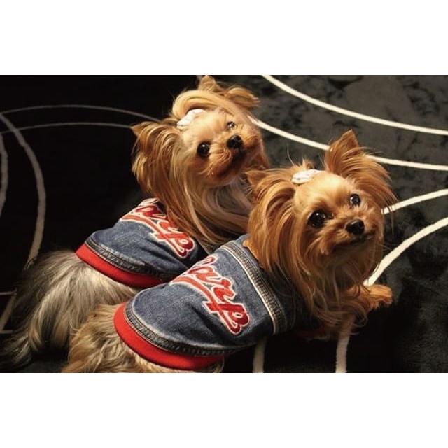 在庫処分特価 広島東洋カープグッズ デニムスタジャン ブルー レッド 5l 01 期間限定 半額以下 Www Iacymperu Org