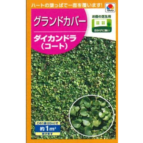 ダイカンドラ コート 1平方メートル タキイの種 グランドカバー Sizai Tane Takii Blg609 鉢花ギフト 明幸園 通販 Yahoo ショッピング