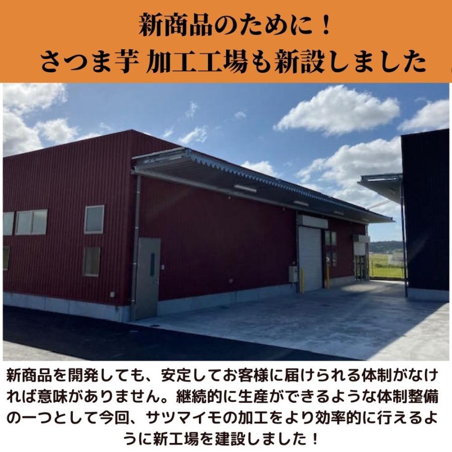 爆買 丸恭 干しの屋の干し芋 オリジナルLサイズ 190g 紅はるか マツコ 無添加 砂糖不使用 ドライフルーツ 離乳食 添加物不使用 蜜芋 おやつ 腸活 差し入れ 人気 |  | 04