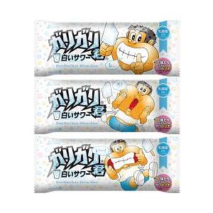 アイス 赤城 ガリガリ君 白いサワー 105ml×32本 氷菓 人気ランキング上位 差し入れ 誕生日プレゼント かき氷 熱中症対策 ご褒美 | 