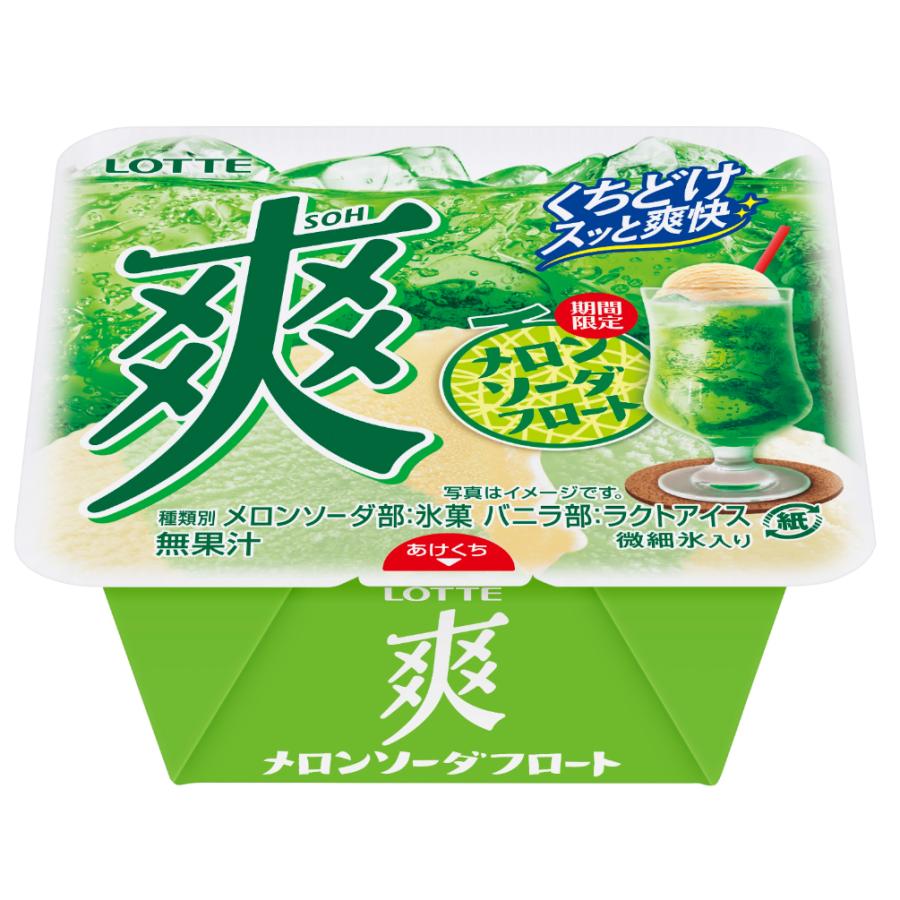 ロッテ（LOTTE） 爽 メロンソーダフロート 185ml×18個 アイスクリーム