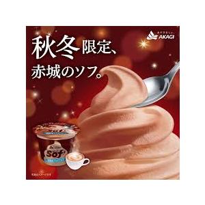 お歳暮 アイス 赤城 ソフ 北海道ミルクココア 150ml×24本 氷菓