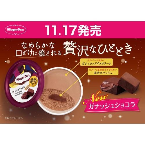 爆買 アイス 期間限定 ハーゲンダッツ HDガナッシュショコラ 110ml×6個 ギフト 新商品 誕生日 差し入れ 誕生日プレゼント イベント バレンタイン ホワイトデー | ハーゲンダッツ | 01