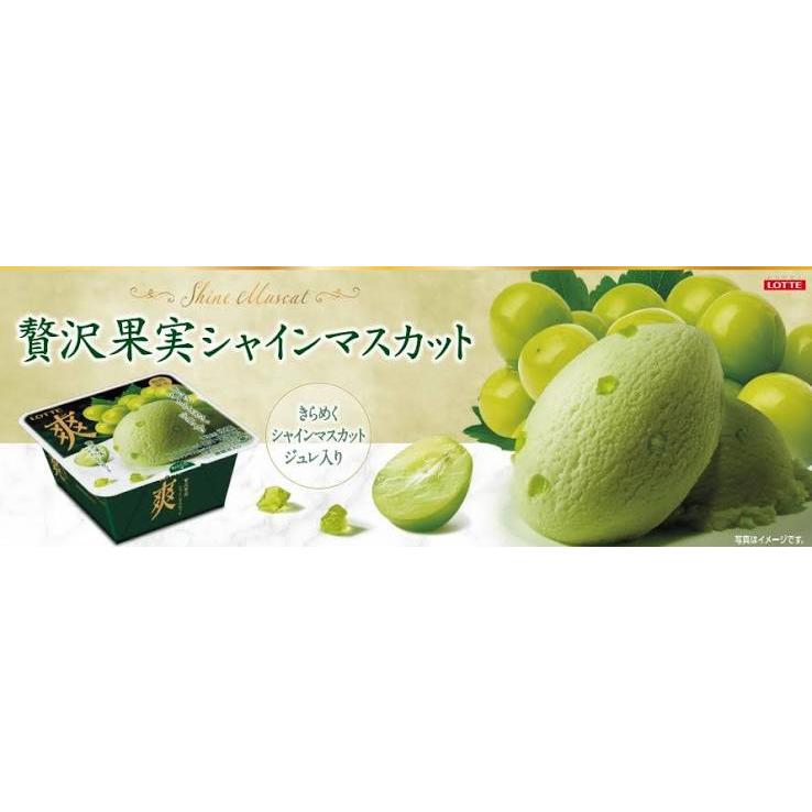 アイス ロッテ 爽　爽 贅沢シャインマスカット 185ml×18個 お中元 差し入れ 人気 誕生日  プレゼント デザート 新商品 限定 ギフト 熱中症対策 合宿  お礼 |  | 01