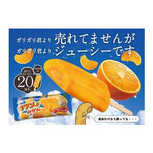 アイス 熱中症対策 赤城 ガツン、とみかん58ml×5本 7箱 差し入れ　デザート ギフト お歳暮 クリスマス　 |  | 01
