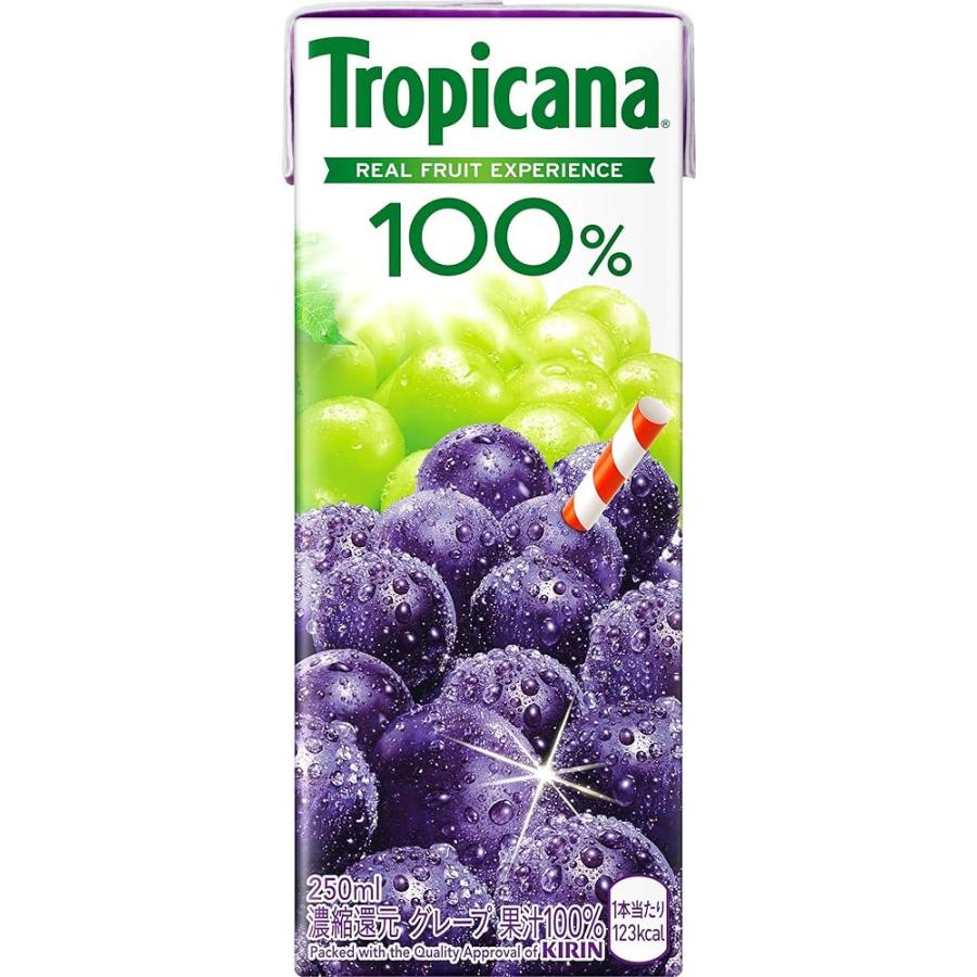 爆買 ジュース お歳暮  キリントロピカーナ 選べる24本セット 250ml×24本(6本単位）大量 景品 御年賀 差し入れ  詰め合わせ  プレゼント お礼 水分補給 内祝い | トロピカーナ | 02