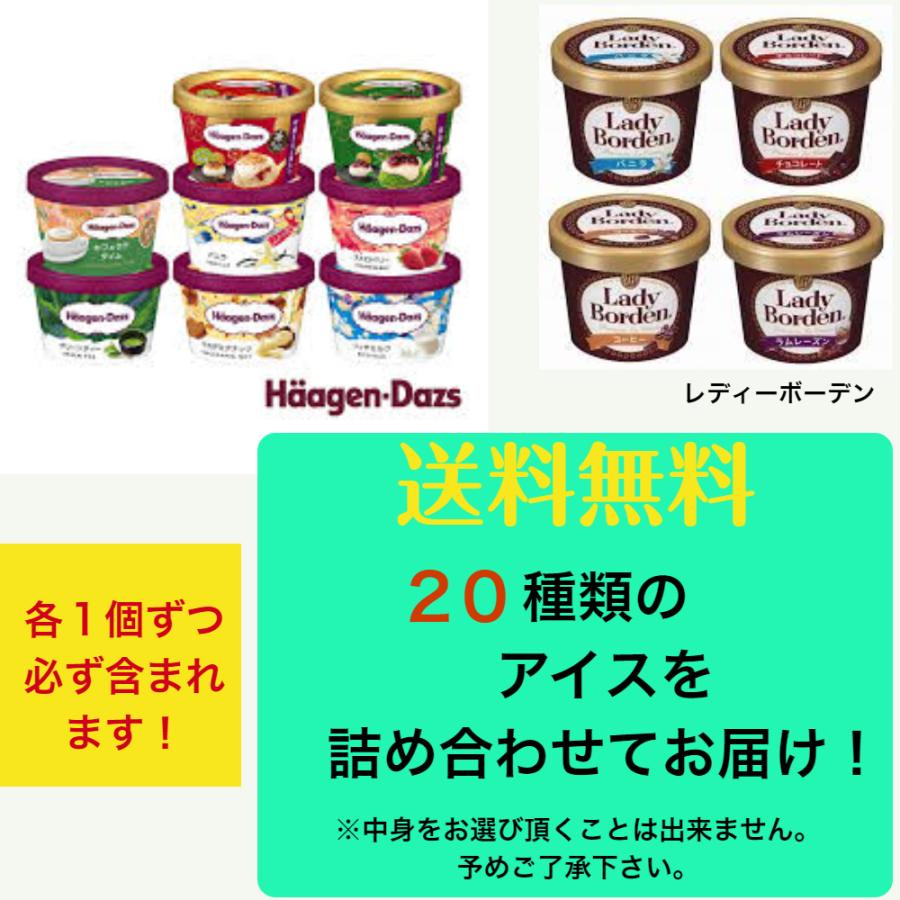 アイス 福袋 20個入 詰め合わせ 送料無料 (一部地域は別途送料) 冷凍 まとめ買い 中身は当店おまかせ｜8kakuya｜02