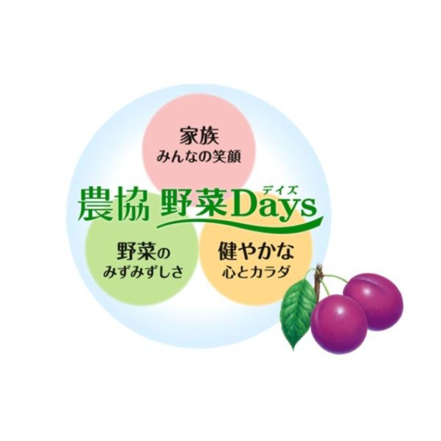 雪印メグミルク 農協 野菜Days フルーツ＆紫野菜100％ 200ml×18本｜8kakuya｜02