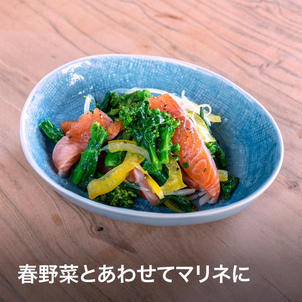 サーモン 刺身 0ｇｘ５p お刺身サーモン冷蔵 信州サーモン 八ヶ岳 冷凍 長野県産 22 八ヶ岳