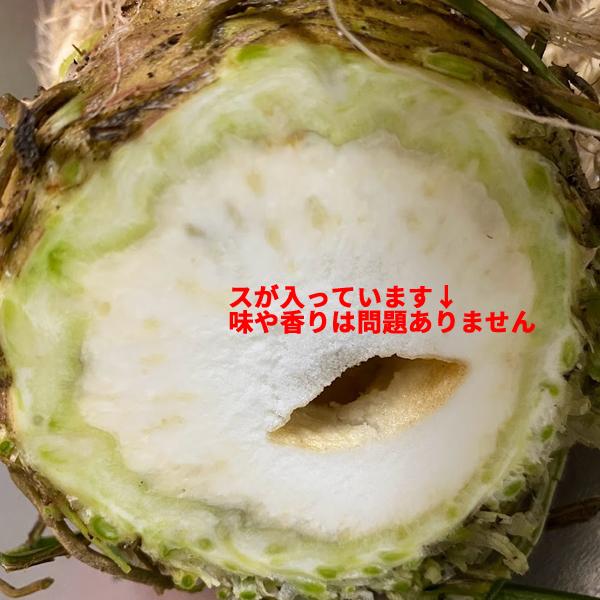 訳あり 八ヶ岳産 無農薬 セルリアック 3個セット セロリアック 根セロリ セロリラブ 栽培期間中農薬 化学肥料不使用 8i 48 04 ハチカッテ ヤフー店 通販 Yahoo ショッピング