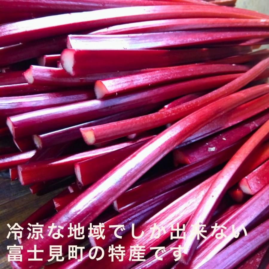 赤い ルバーブ 1kg 生ルバーブ 農薬不使用 冷蔵 長野県 八ヶ岳 富士見 