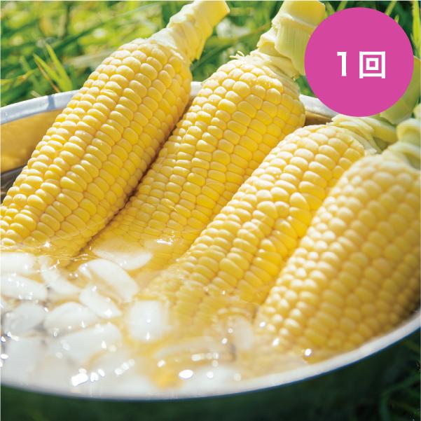最新な 22年も最高糖度22度 元祖 メロンより甘い 八ヶ岳 生とうもろこし 8本入 絶賛予約受付中 送料無料 通販 スイートコーン 朝穫れ お取り寄せ