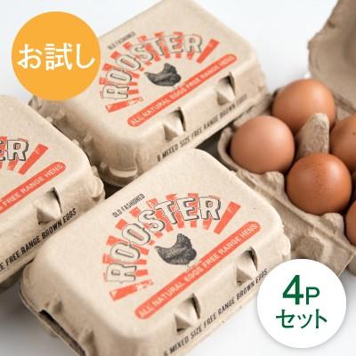 たまご 卵 平飼い オーガニック 6個入り×4パック お取り寄せ たまご 卵 平飼い オーガニック 6個入り×4パック お取り寄せ